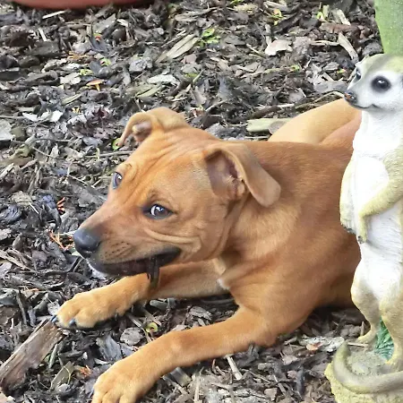 Hotel-Durmersheim Hotel Durmersheim