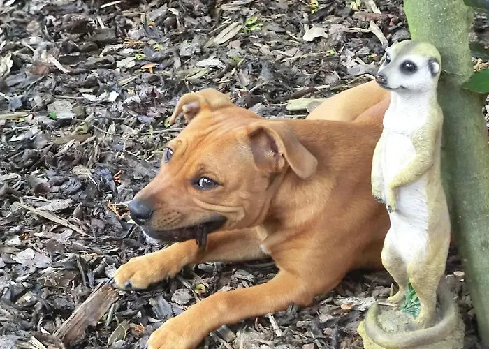 Hotel-Durmersheim Hotel Durmersheim